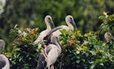 Dr. SALIM BIRD SANCTUARY