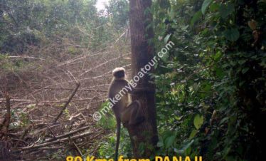 NETRAVALI SANCTUARY